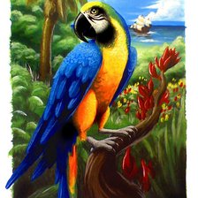 Схема вышивки «попугай»