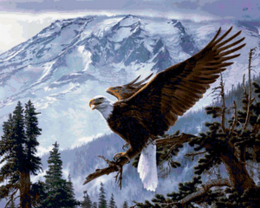 картина - картина - предпросмотр