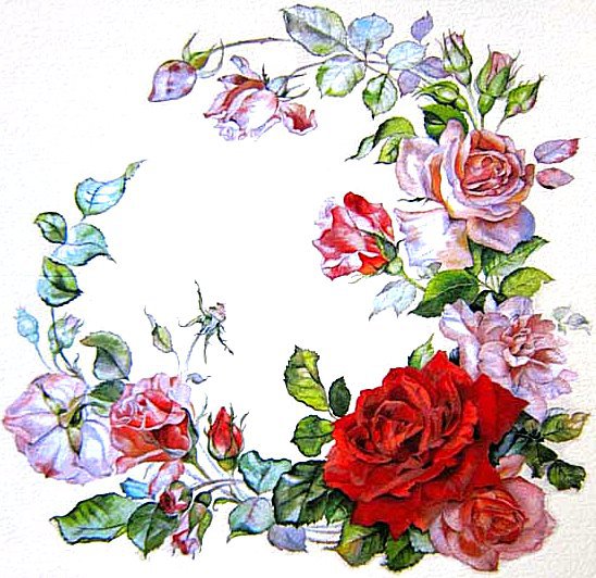 Розы - розы - оригинал