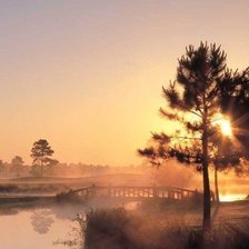 Схема вышивки «№300199»