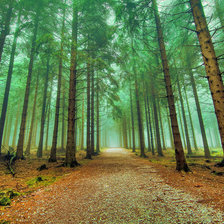 Схема вышивки «Осень настала»