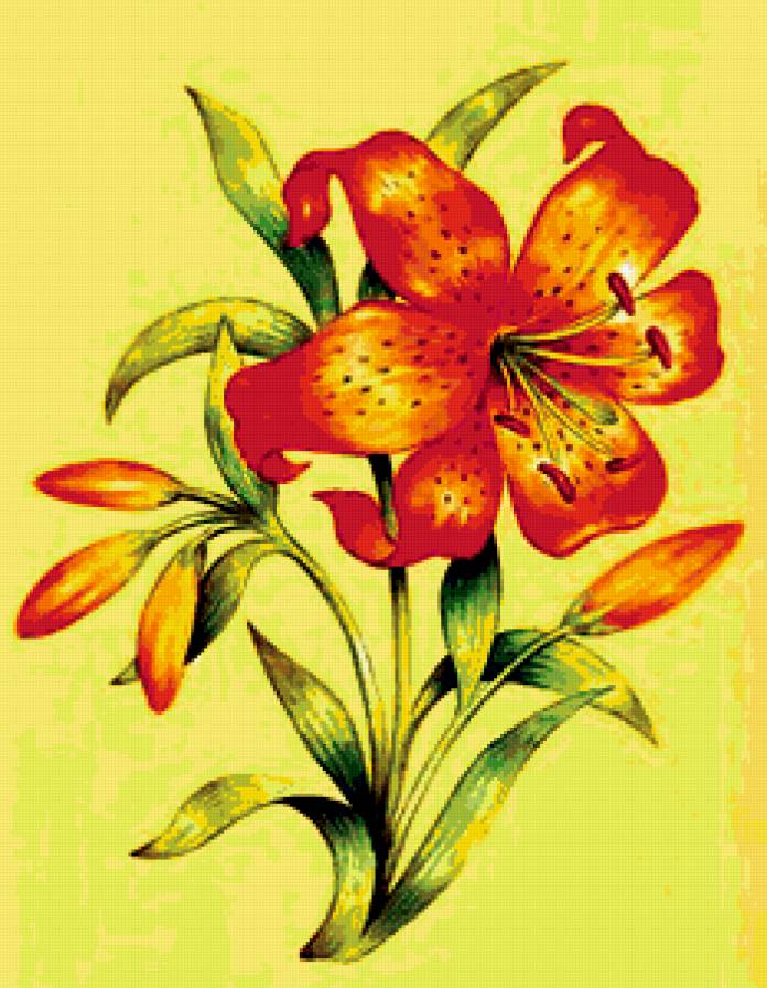 лилия - предпросмотр