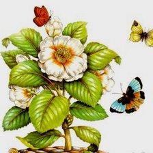 Схема вышивки «ЦВЕТЫ И БАБОЧКИ»