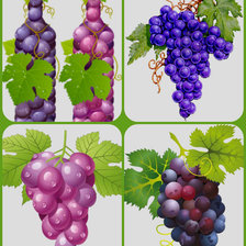 Схема вышивки «сюжет для кухни»