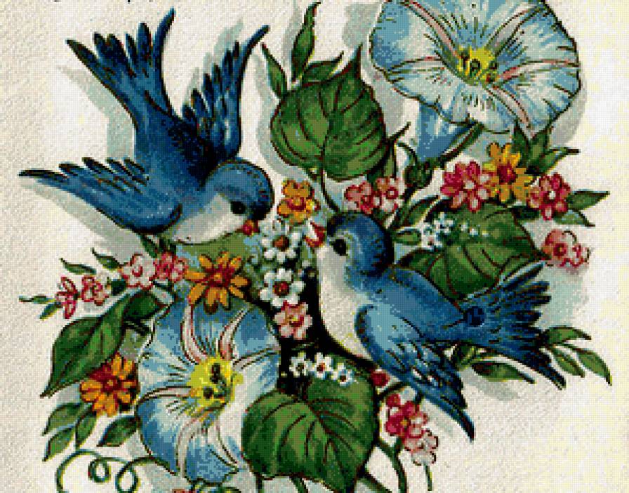 цветы и птицы - предпросмотр
