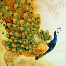 Схема вышивки «Павлины»