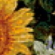 Предпросмотр схемы вышивки «подсолнухи6» (№300627)