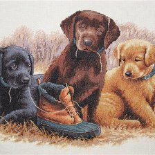 Схема вышивки «Цуцинята»