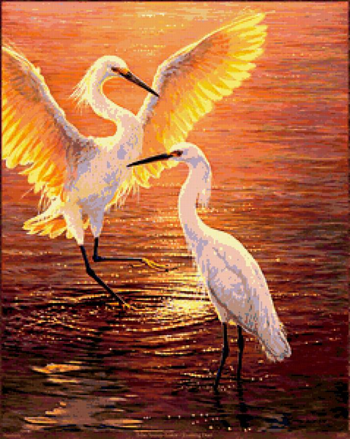 ухаживание - вода, цапля, птицы, свидание, любовь, пейзаж - предпросмотр