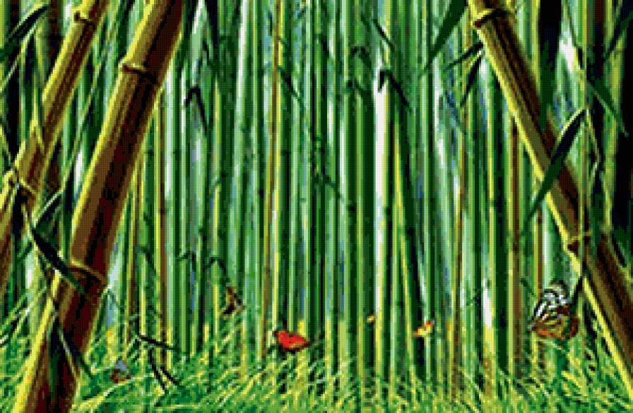 бамбук - природа - предпросмотр