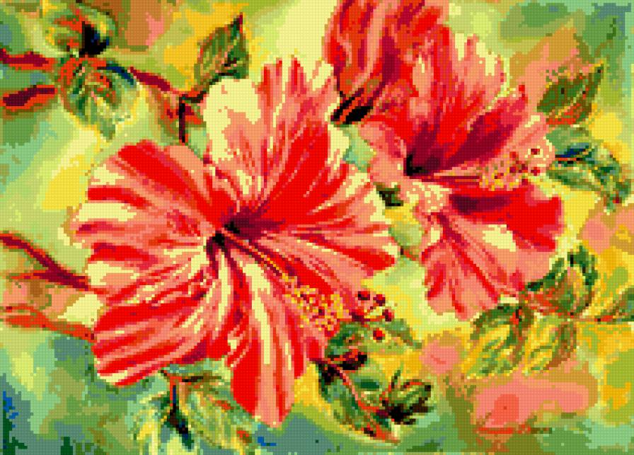 гибискус - цветы - предпросмотр