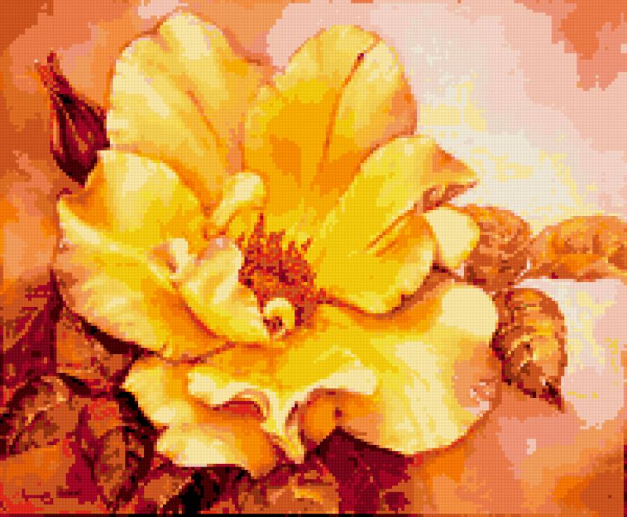 яркость - цветы - предпросмотр