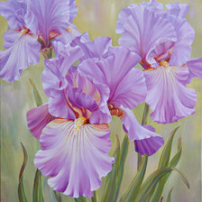 Схема вышивки «ирисы»