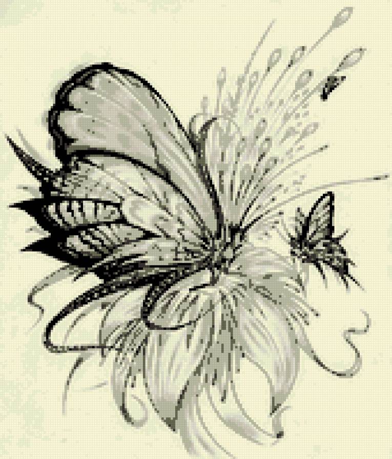 Бабочка - мотылек, бабочка, цветок - предпросмотр