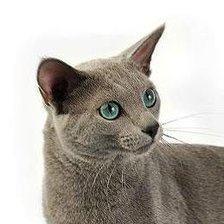 Схема вышивки «Перчик»