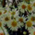 Предпросмотр схемы вышивки «Полевой букет» (№300915)