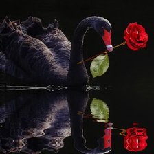 Схема вышивки «Черный лебедь»