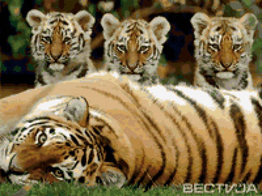 тигры - тигрица и тигрята - предпросмотр