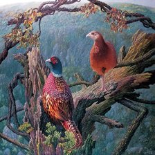 Схема вышивки «0076»