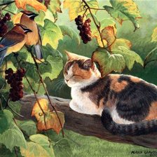 Схема вышивки «0077»