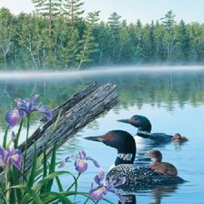 Схема вышивки «0080»