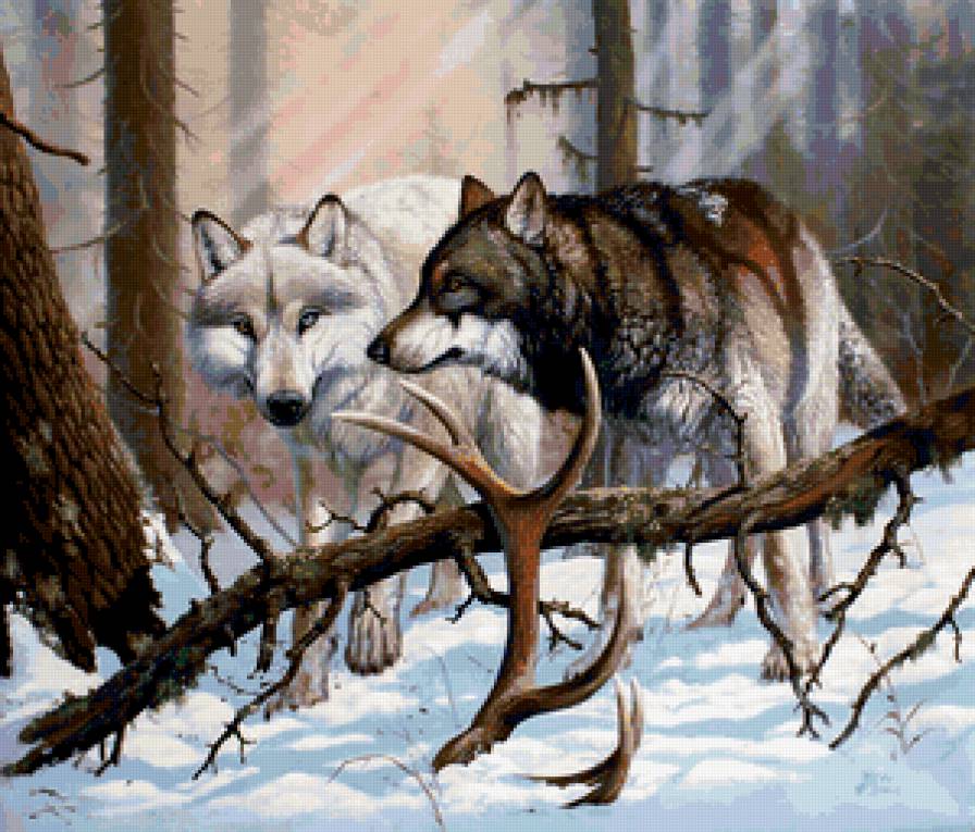 №301126 - волки.пара - предпросмотр