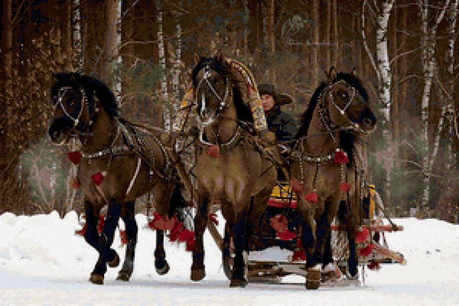 тройка - зима, сани, тройка, лошади, кони, упряжка - предпросмотр