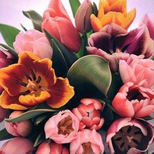 Схема вышивки «Цветы»