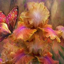 Схема вышивки «ирисы красные»