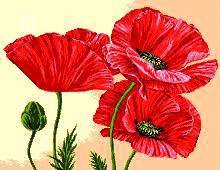 Схема вышивки «красные маки»