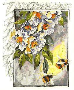 Шмели - пчелы, шмели, цветы - оригинал