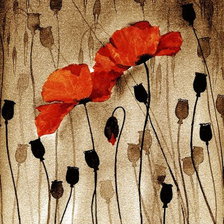 Схема вышивки «Маки»