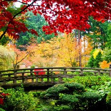 Схема вышивки «природа»