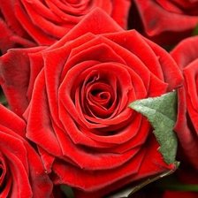 Схема вышивки «№301785»