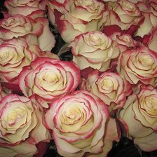 Схема вышивки «№301787»