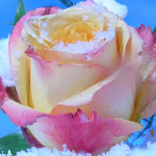 Схема вышивки «№301791»