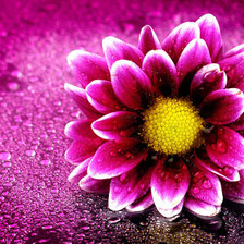 Схема вышивки «№301804»