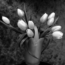 Схема вышивки «Тюльпаны»