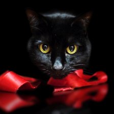 Схема вышивки «Черный Кот»