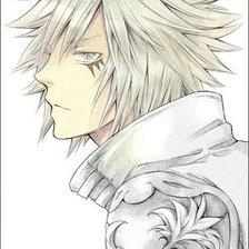 Схема вышивки «Бьякуран»