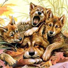 Схема вышивки «volki»