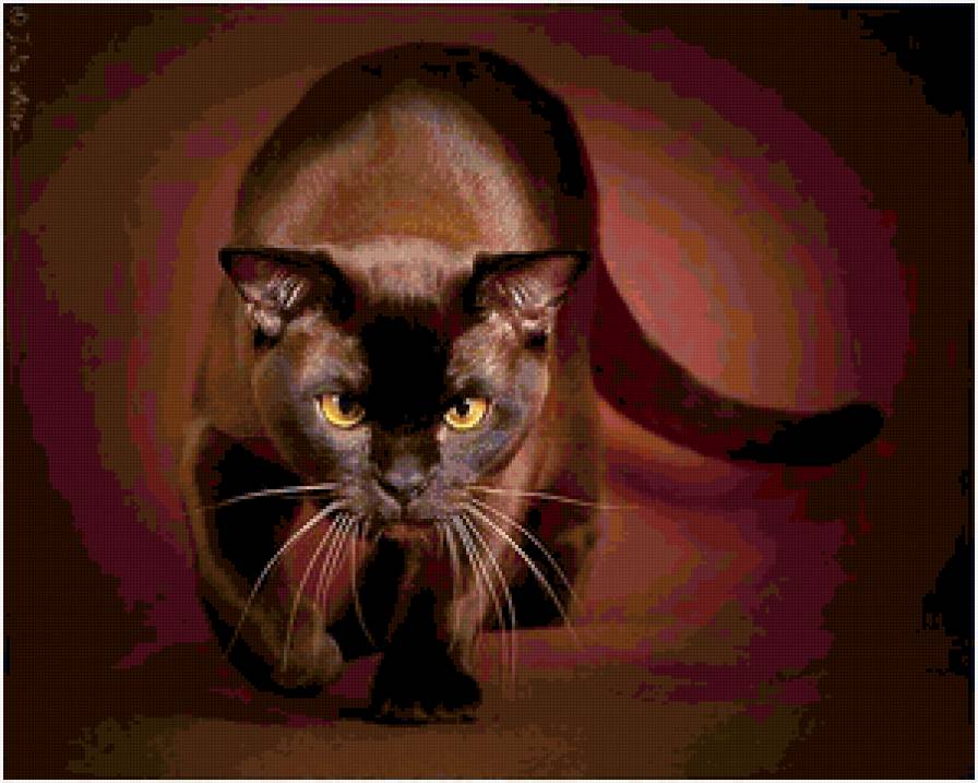 киса - предпросмотр