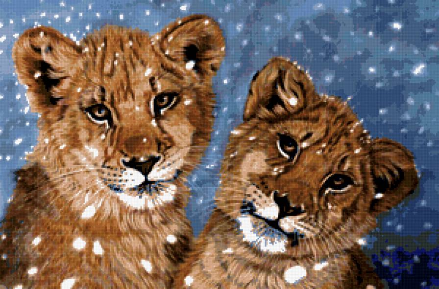 львята - хищники, кошки, лев, львы, животные - предпросмотр