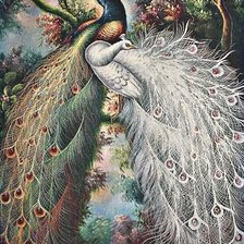 Схема вышивки «Павлины»