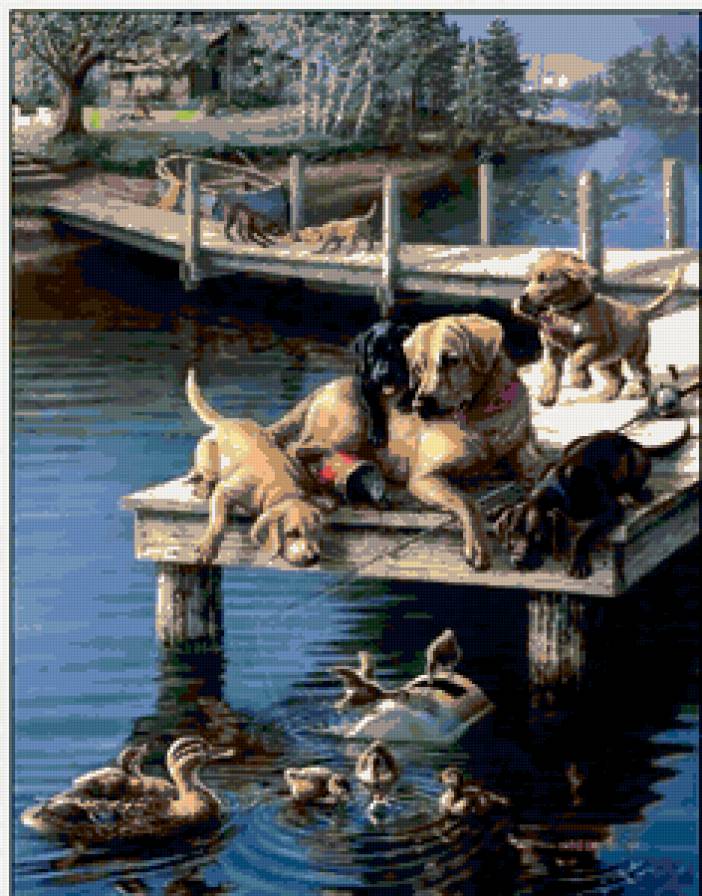 знакомство - животные - предпросмотр