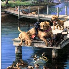 знакомство