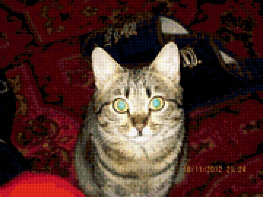 любимица - кошки - предпросмотр