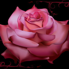 Схема вышивки «роза»