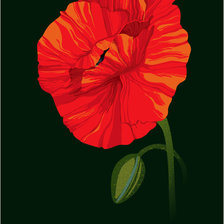 Схема вышивки «мак»