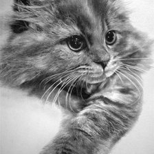 Схема вышивки «котенок»